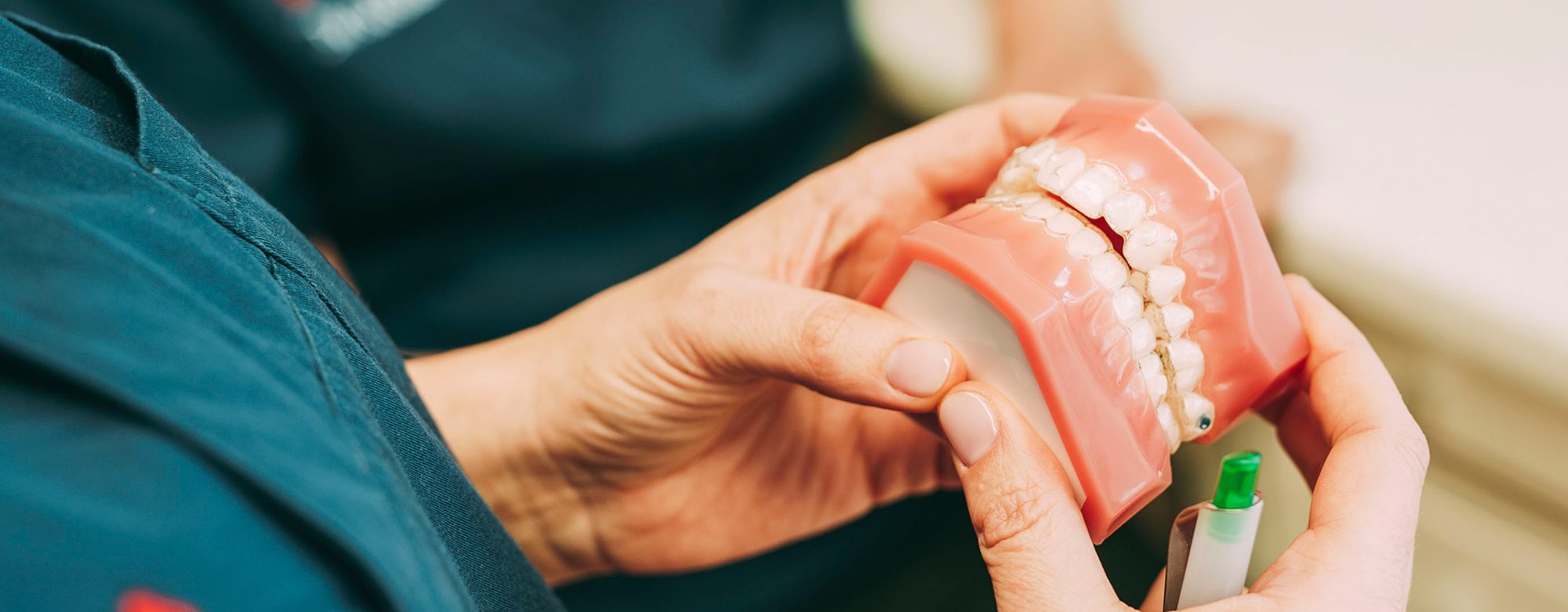 Kieferorthopäde bei docs & bears zeigt Modell für Zahnspange oder Zahnschiene.